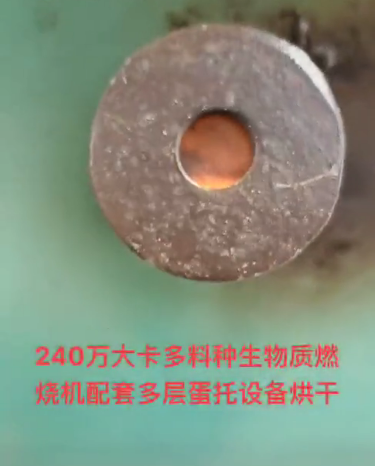 
240萬大卡多料種生物質燃燒機配套多層蛋托設備烘干