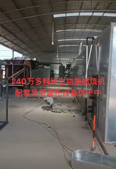 
240萬大卡多料種生物質燃燒機配套多層蛋托設備烘干